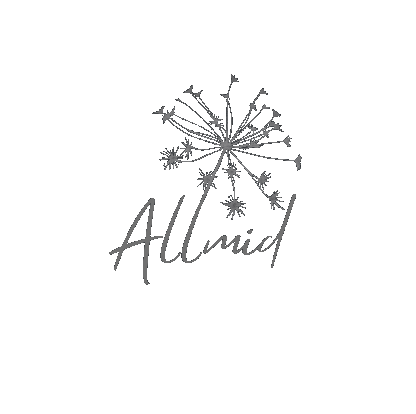 Logo Allmid